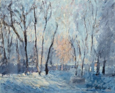 Snow in the Garden by Patricia Espir